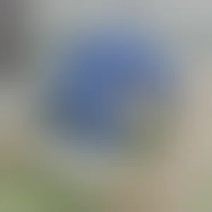 Produktbild, 18+-Vorschau
