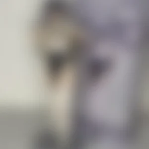 Produktbild, 18+-Vorschau
