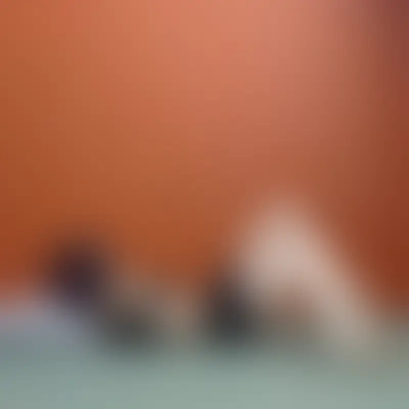 Produktbild, 18+-Vorschau