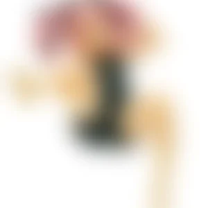 Produktbild, 18+-Vorschau