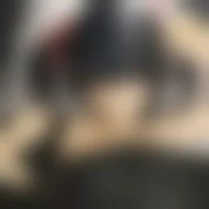 Produktbild, 18+-Vorschau