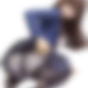 Produktbild, 18+-Vorschau