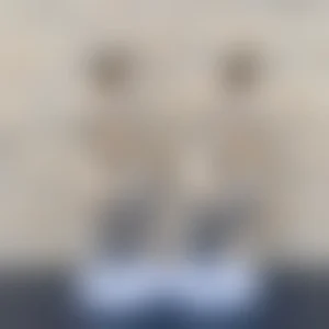 Produktbild, 18+-Vorschau